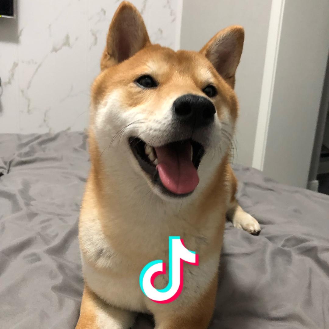 片思い