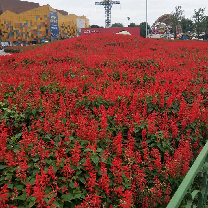 众信汽修汽配🌙