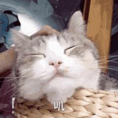 西湖藏小剑