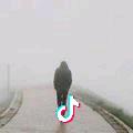 季Sir