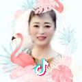 燕子（舞）