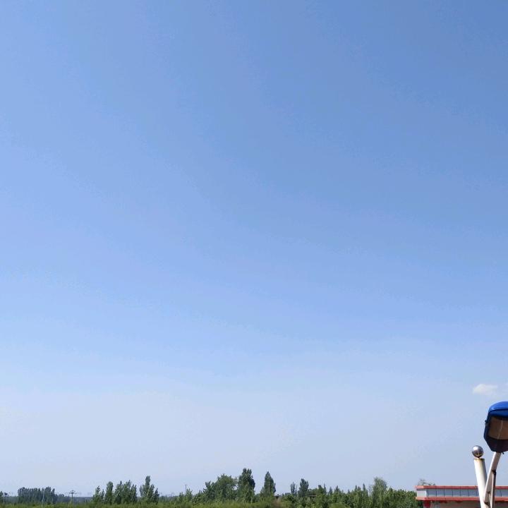 沧海一声笑