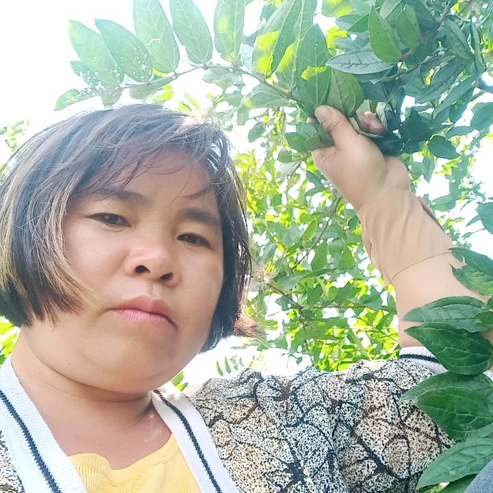刘浪妈妈