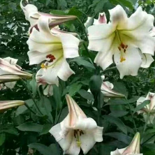 用户4235510493849唐帅