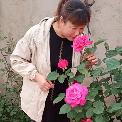 萍儿