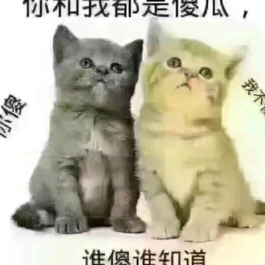 花好月圆（感谢点赞！请勿连赞）