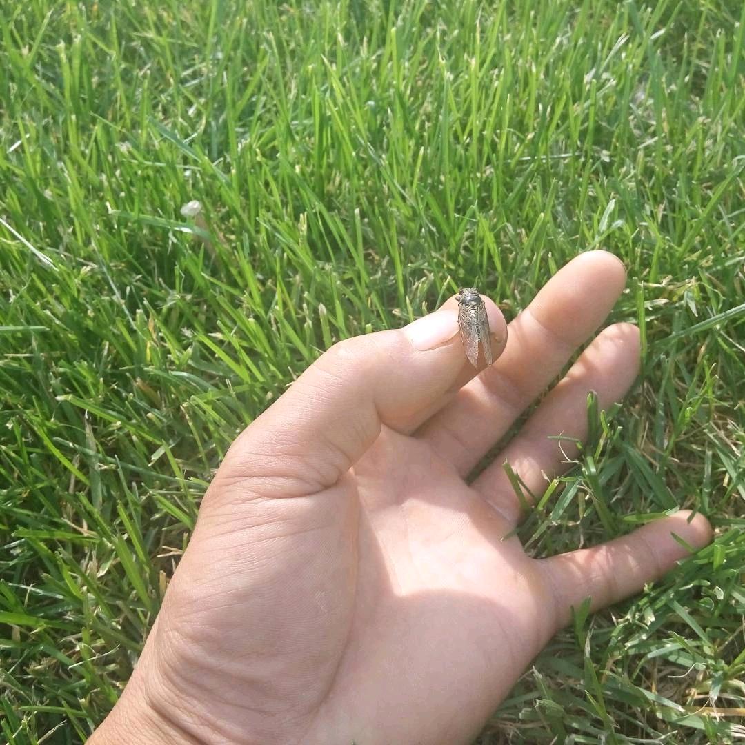 🦄璀璨👑星辰🦄