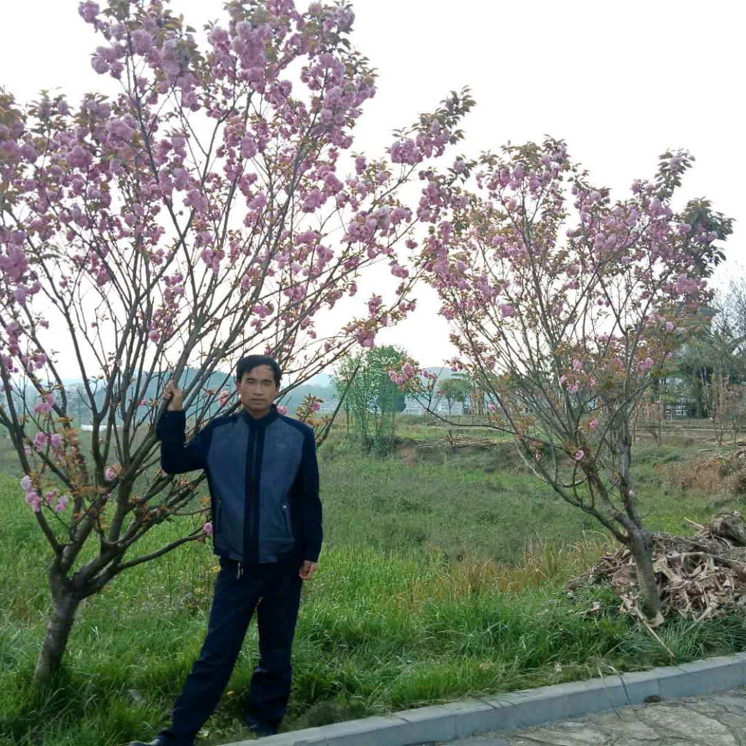 一身幸福