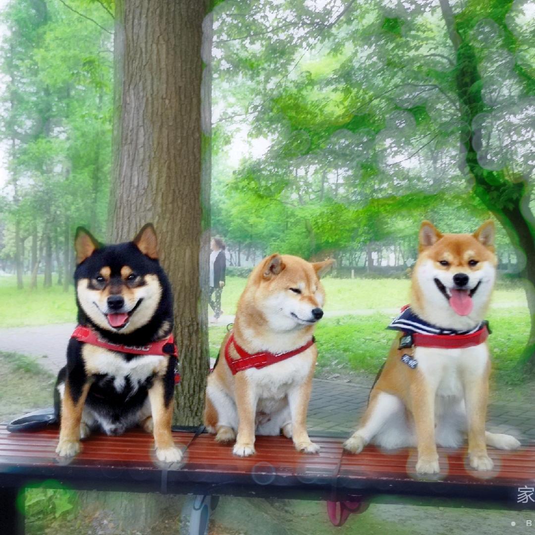 家有舀舀
