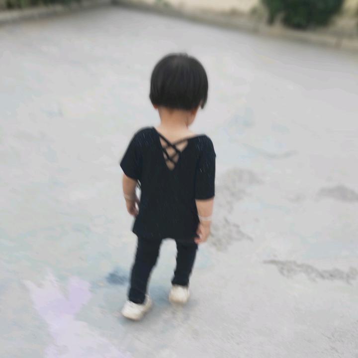 沙伦玫瑰