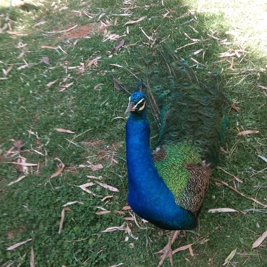 打工路上钱难挣