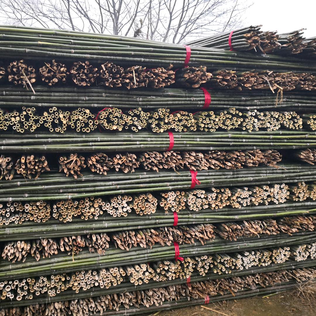 明宇竹业...明哥