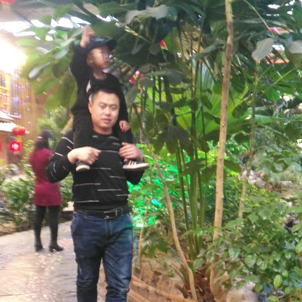 云飞