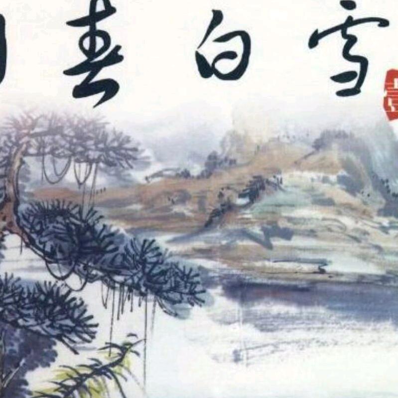 阳春白雪T