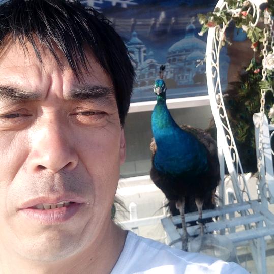 流浪的人