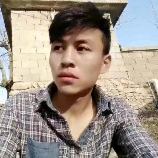 杨仔