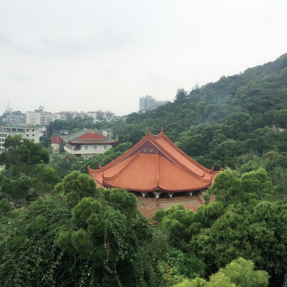 宇中朗诗