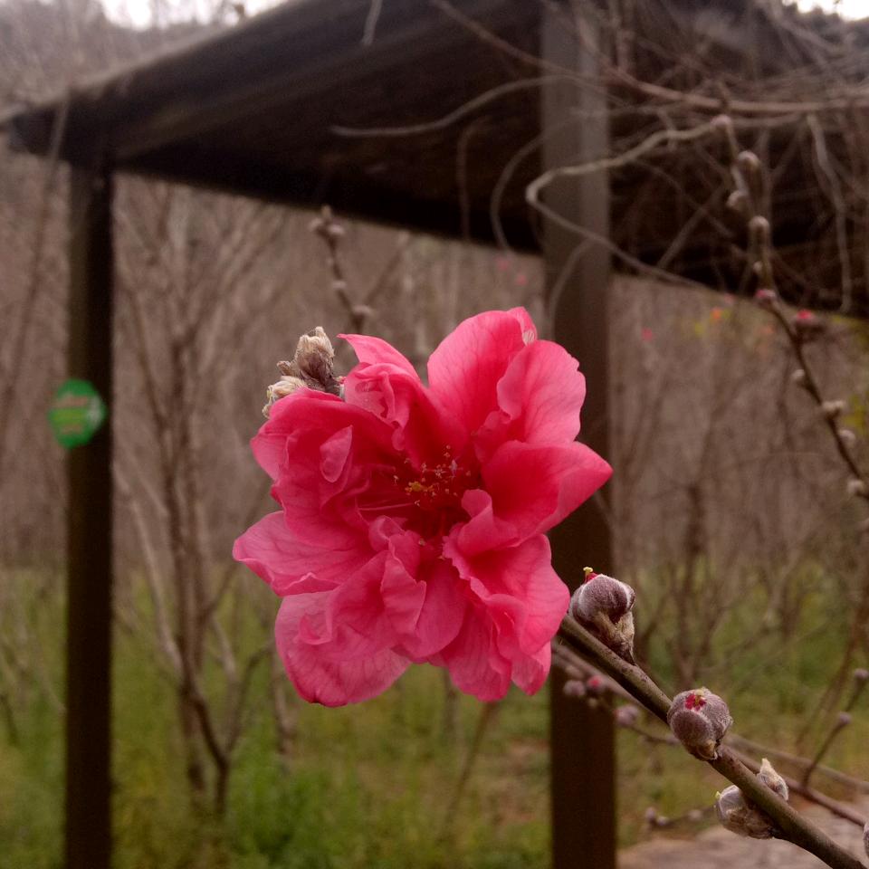 琪晟宝贝