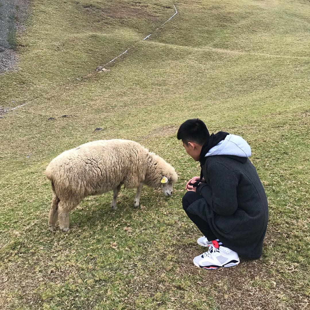 香菜弟弟
