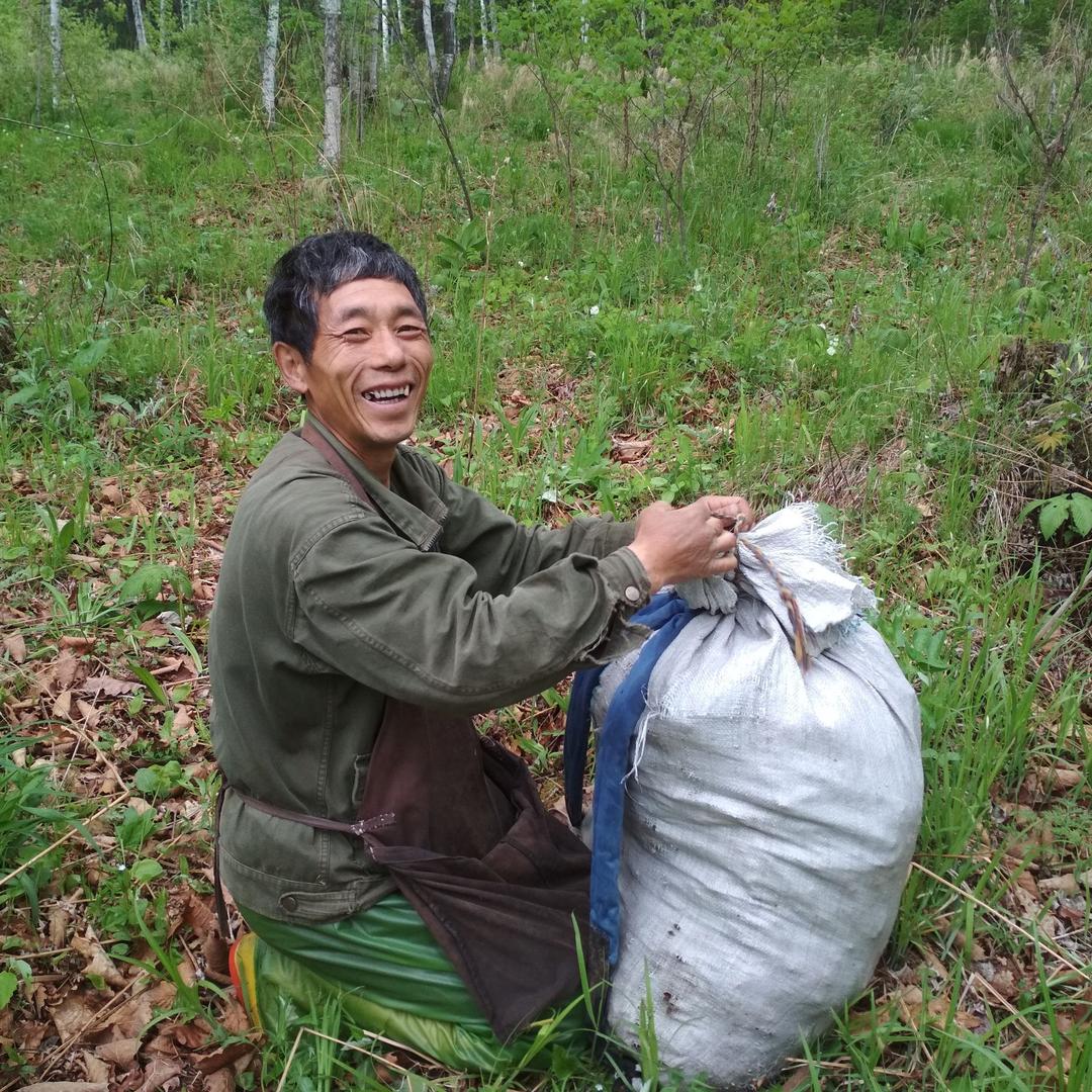 林区刺老芽@抖音