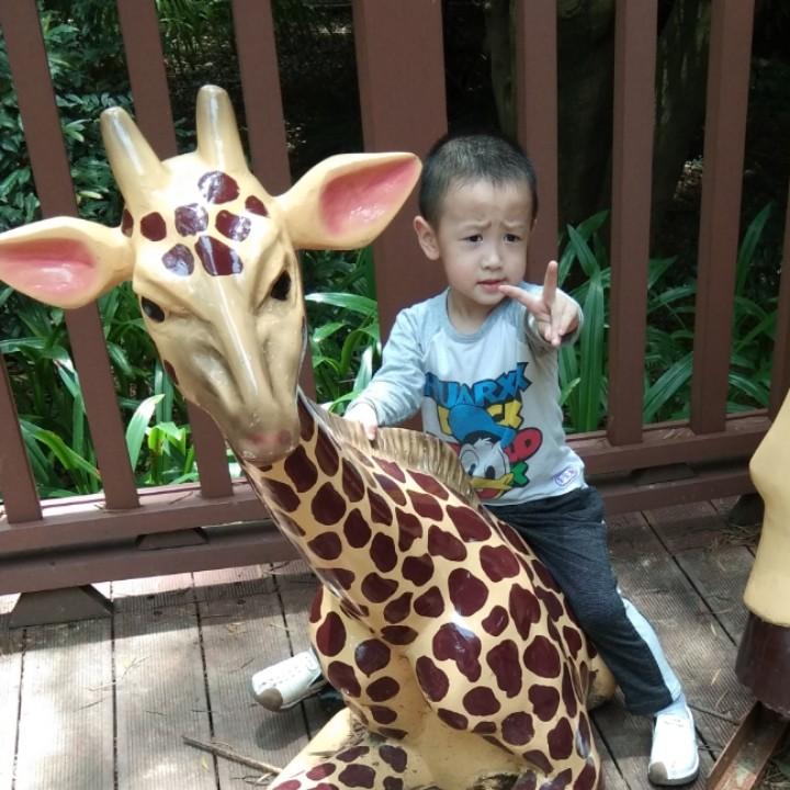 河池市宜州区川味餐饮店