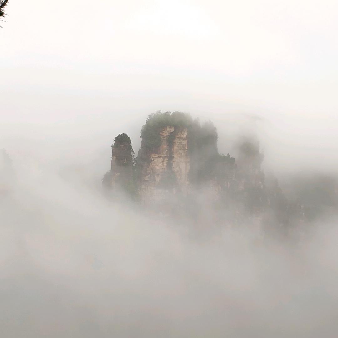 北京观望