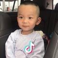 雅典艺术瓷砖陈向镜