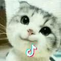 坤。。