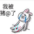 乄iao龍哥。