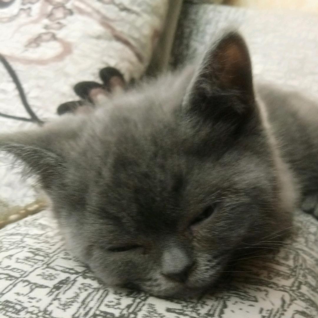 李憨憨