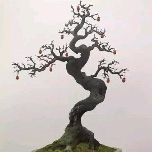 长阳向华盆景园