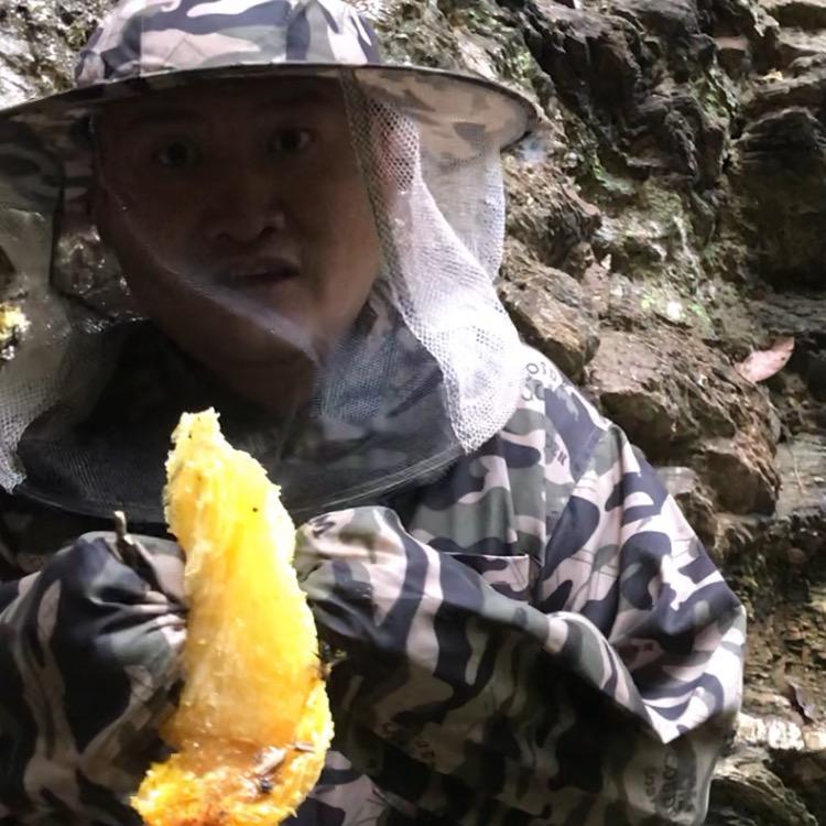 蜜蜜言语