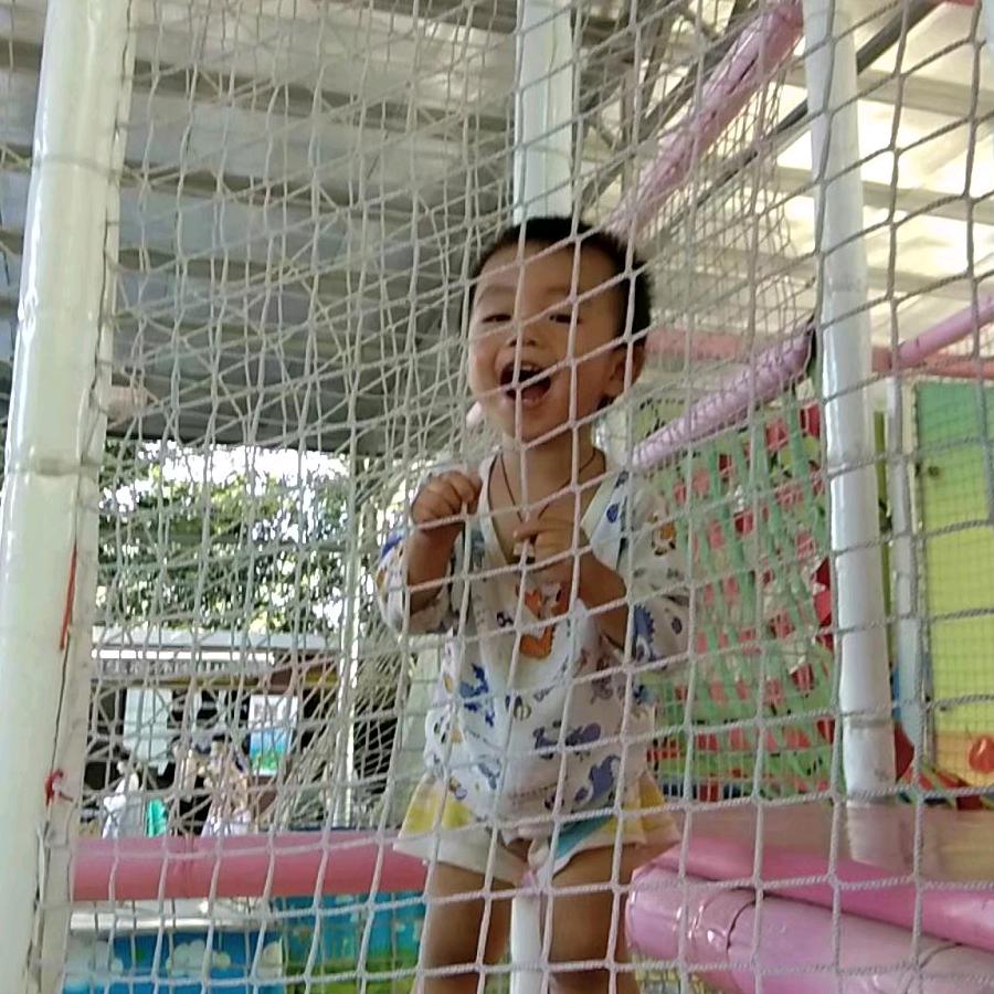 自由飞翔