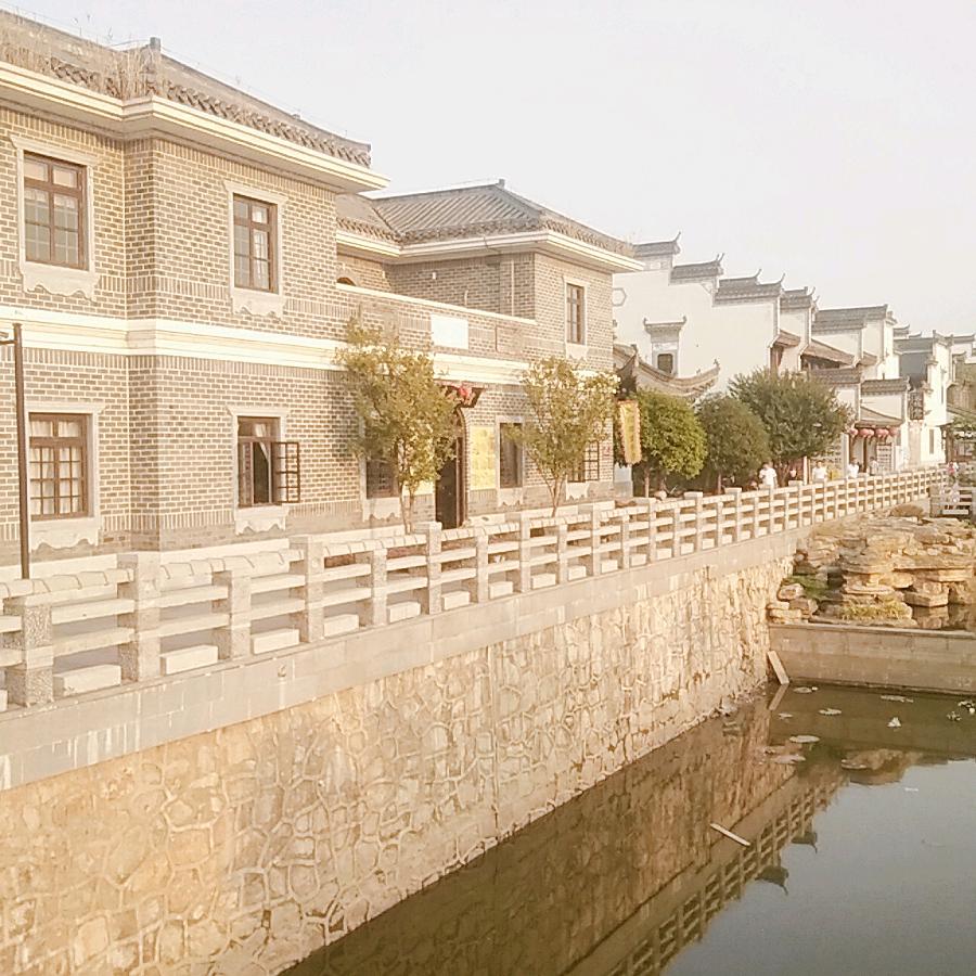 付丽z