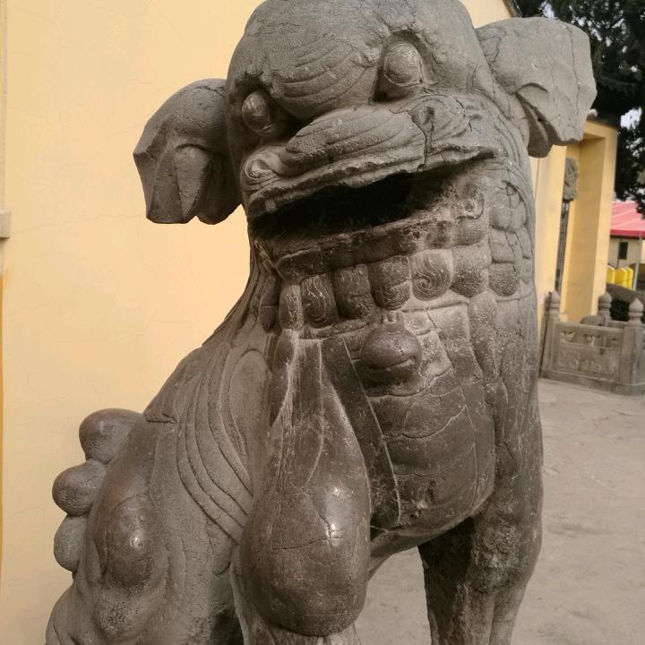 红烧大虾