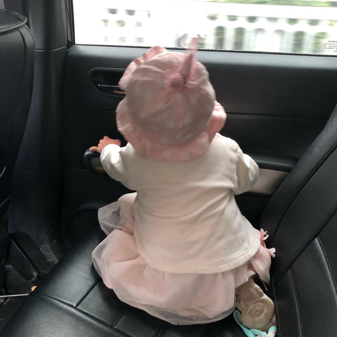 阳光下的小叶子