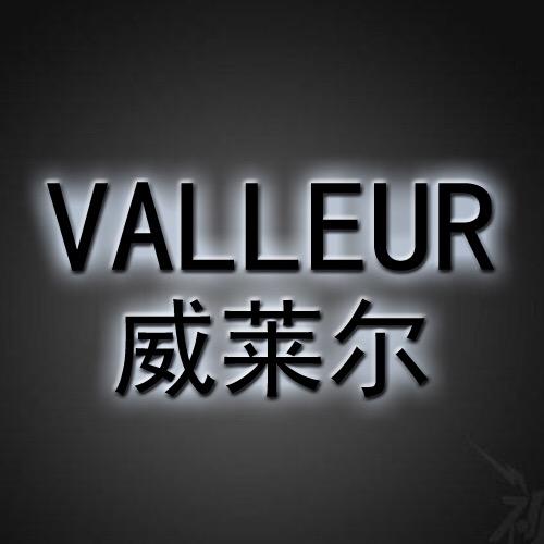 VALLEUR