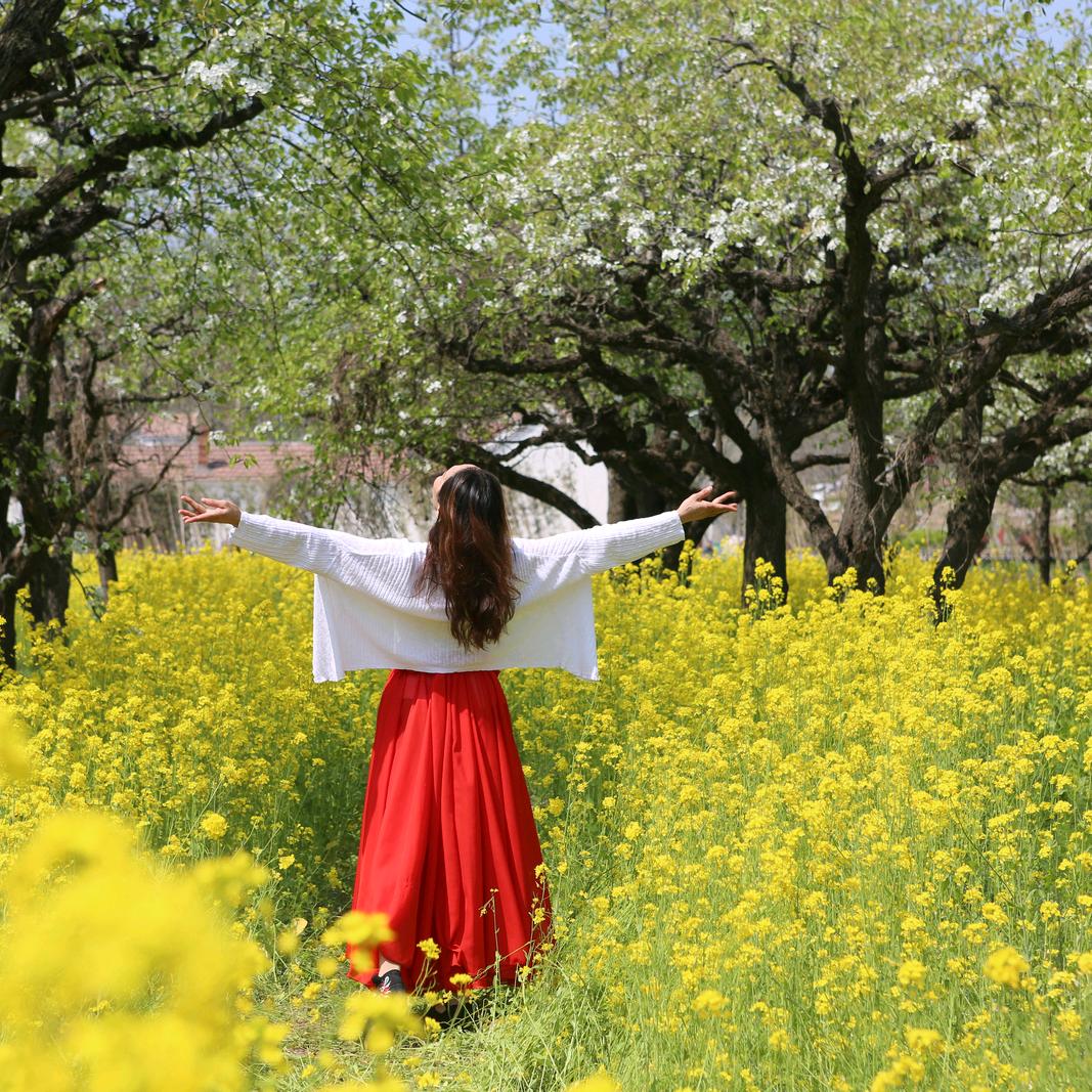 🌸丁丁🌸