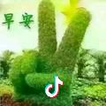 颜色的颜