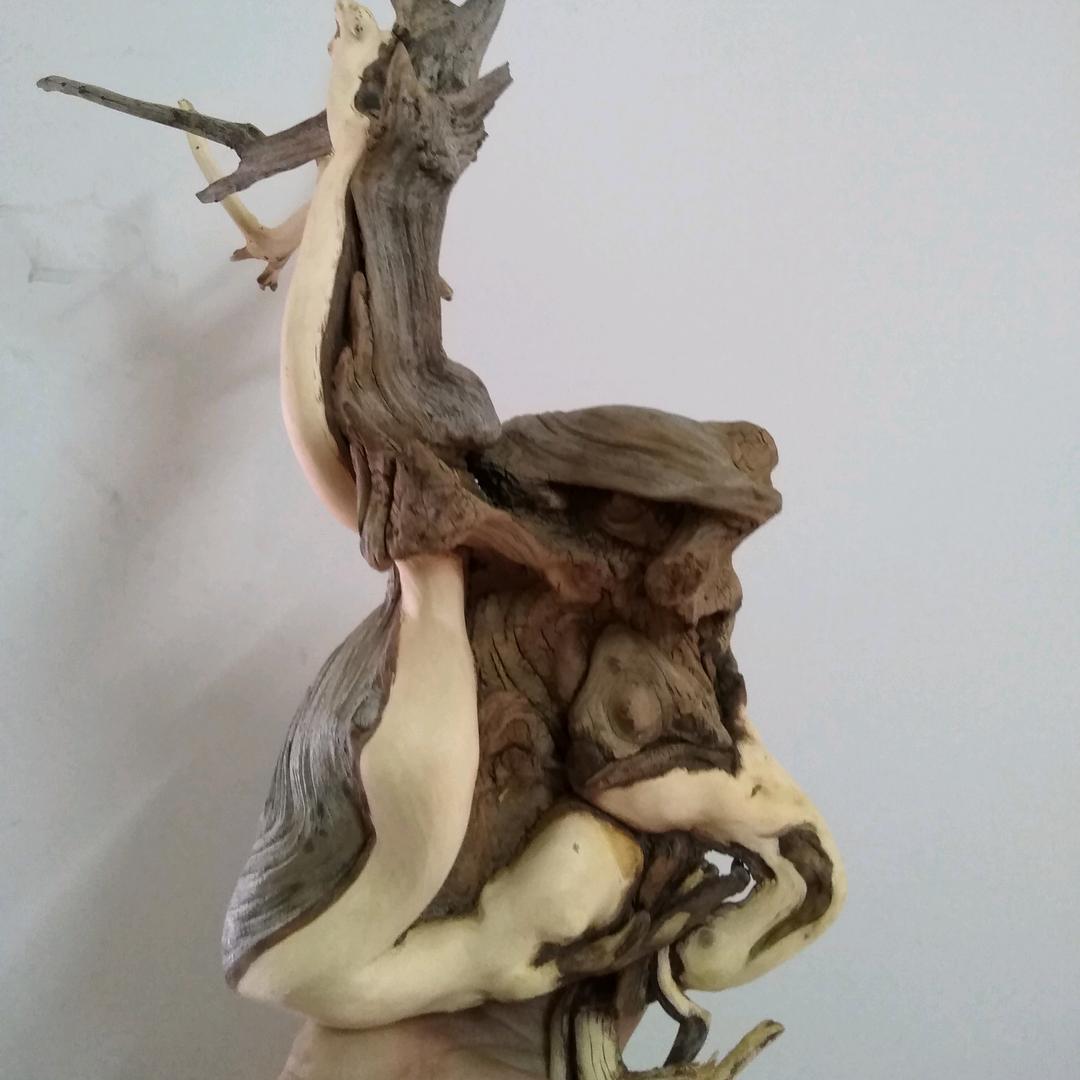 收长头发《柴 亿 世 界美业》