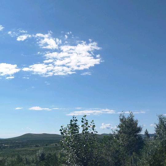 别无所求