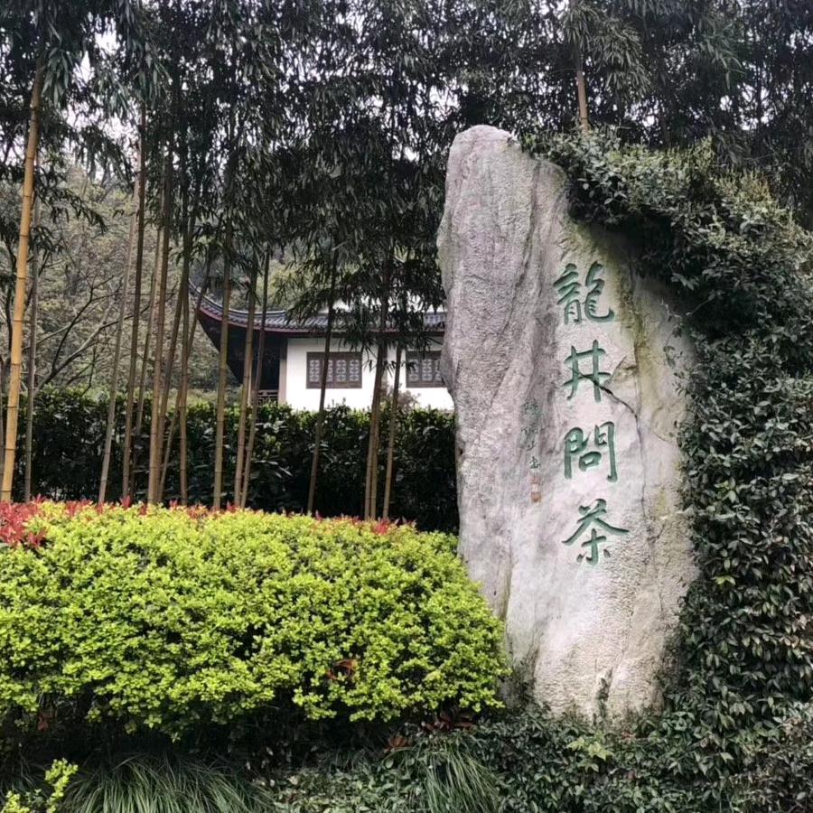 漫步枫雨中☔️