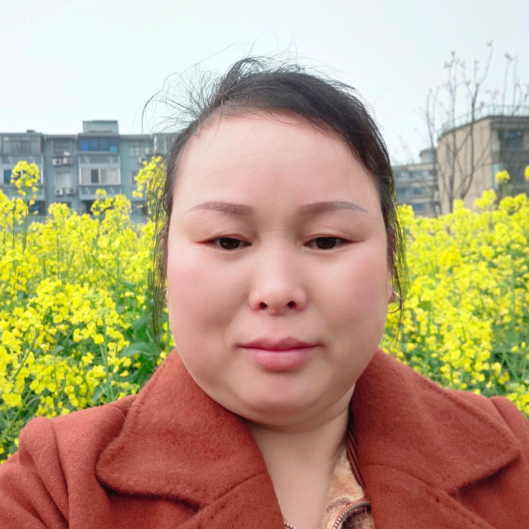 美丽的城市