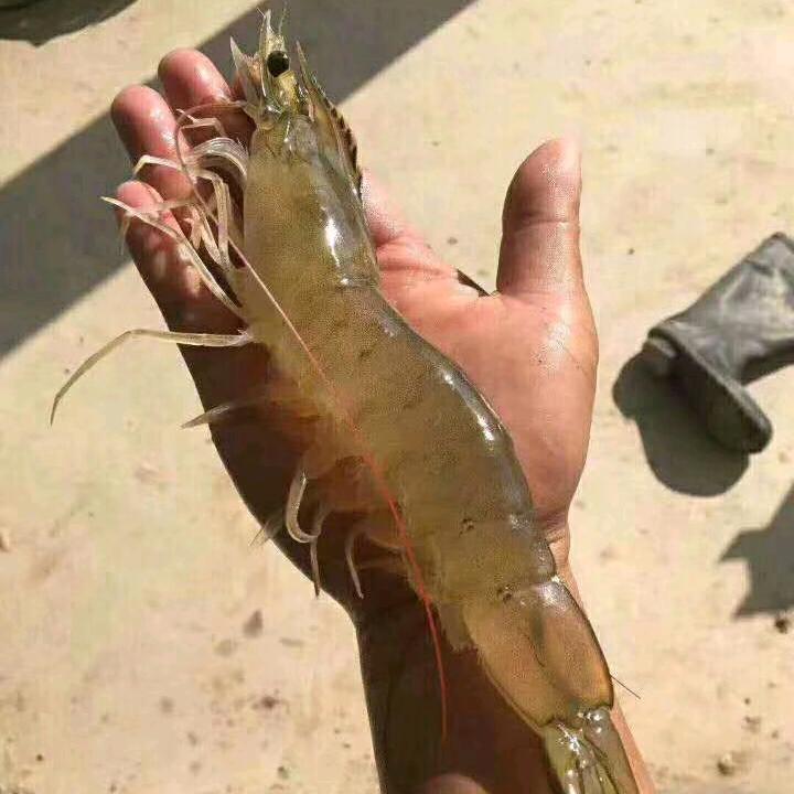 ℋ𝒶𝒷𝒾𝓉♡孙官发财