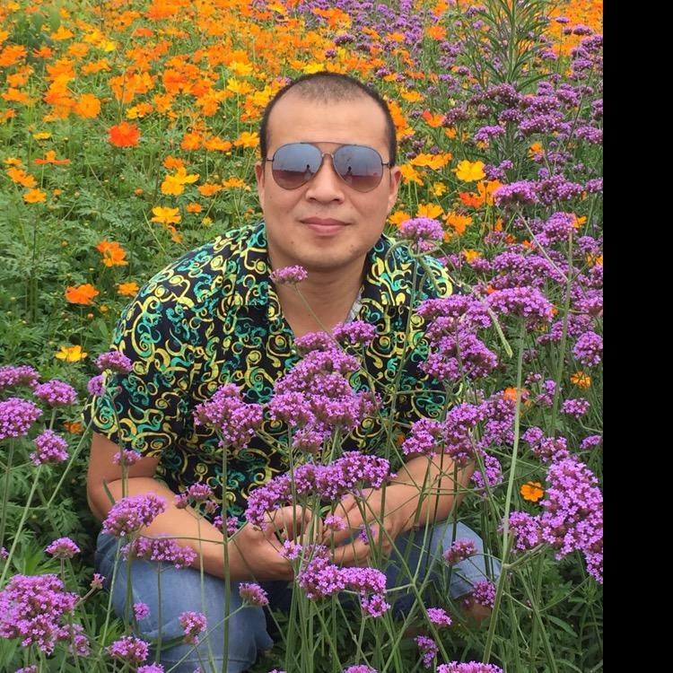 大文文