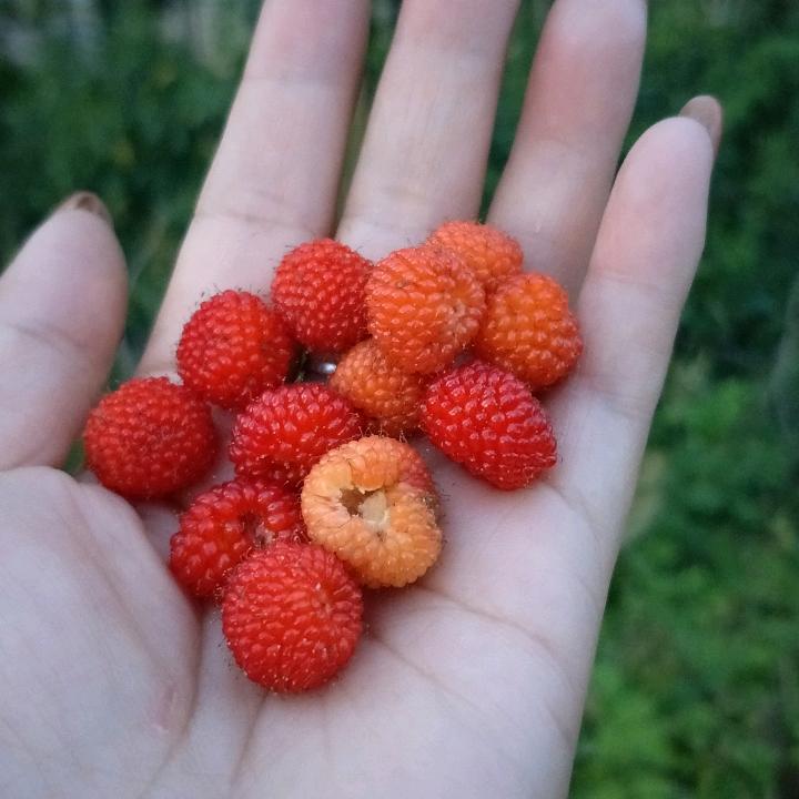 约好❤今生