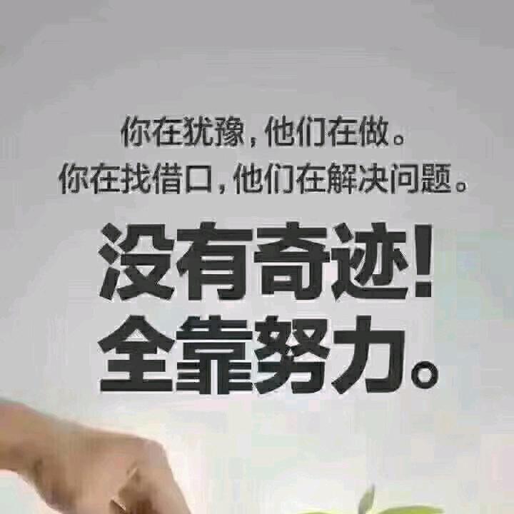食品搬运工