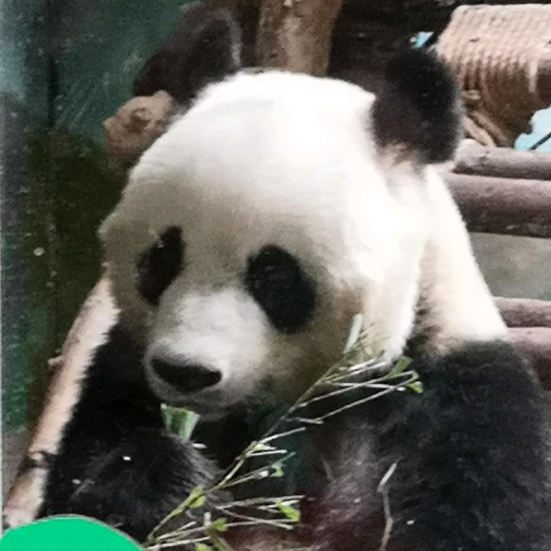(^_^)