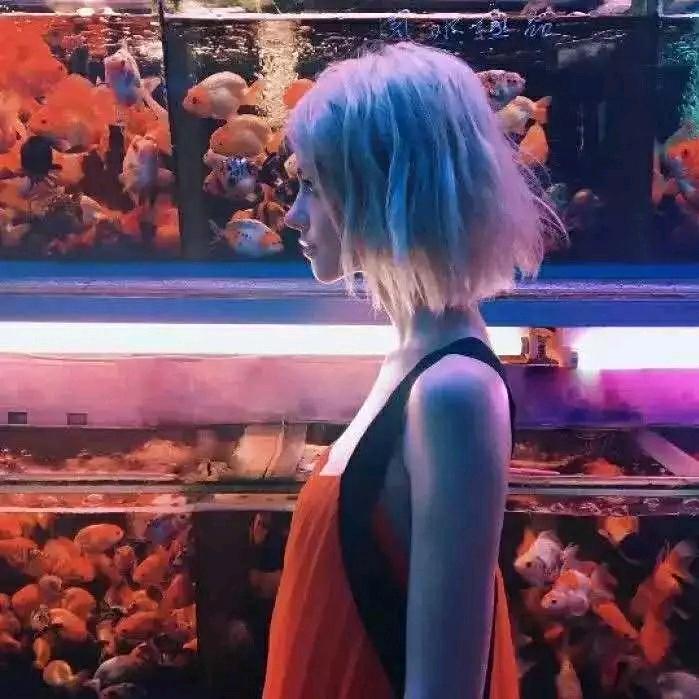 流浪的洋芋蛋蛋子-.-