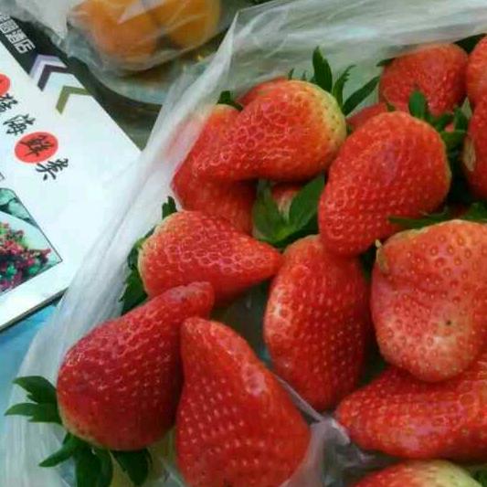 开心果